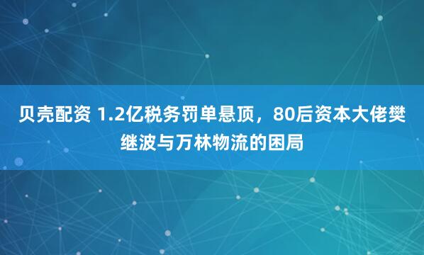贝壳配资 1.2亿税务罚单悬顶，80后资本大佬樊继波与万林物流的困局