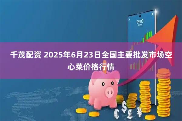千茂配资 2025年6月23日全国主要批发市场空心菜价格行情