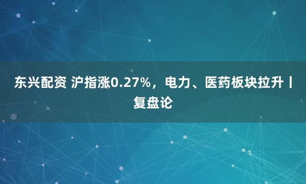 东兴配资 沪指涨0.27%，电力、医药板块拉升丨复盘论