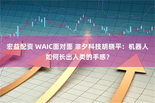 宏益配资 WAIC面对面 非夕科技胡晓平：机器人如何长出人类的手感？
