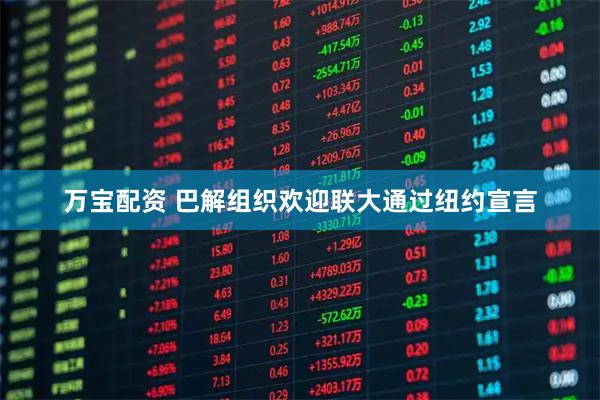 万宝配资 巴解组织欢迎联大通过纽约宣言