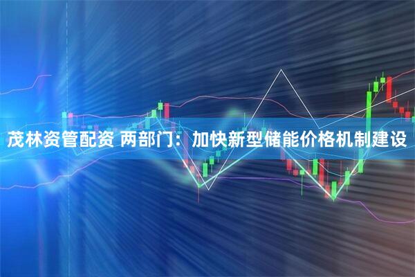 茂林资管配资 两部门：加快新型储能价格机制建设